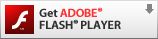 Macromedia Flash Player